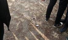 长春九台爆料事件最新,揭秘背后真相与争议焦点